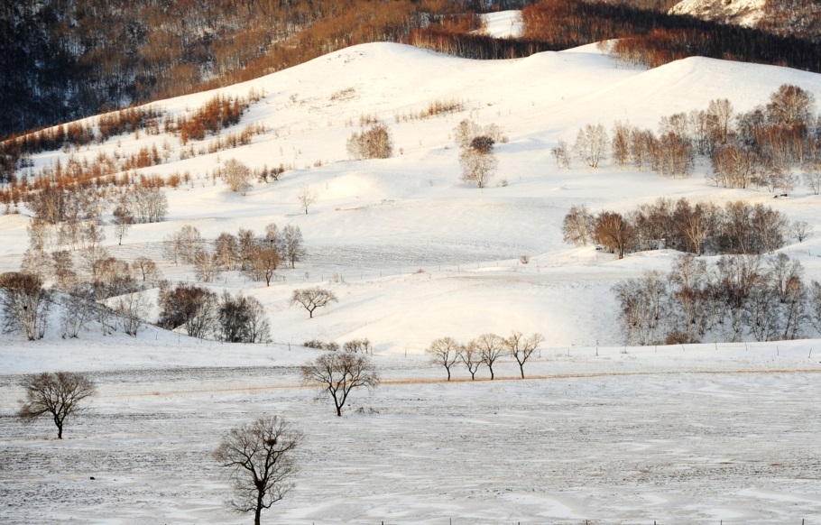深圳客人三人行 深圳客人三人行
