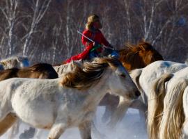坝上草原雪原马镇冰雪节