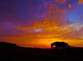 坝上草原日出日落