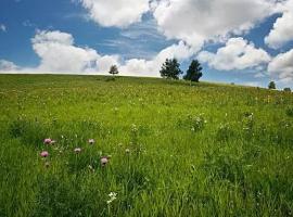 端午旅行——坝上草原两日行