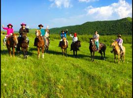 坝上草原二日游满满的回忆