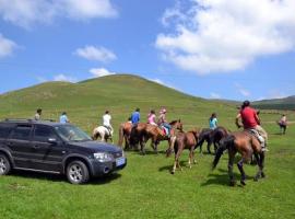 坝上草原好玩娱乐项目推荐