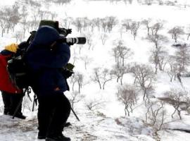 博顿创意幼儿园 亲子坝上3日游