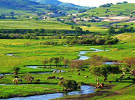 丰宁坝上草原两日游