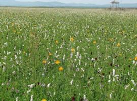坝上四季风光美景之夏季摄影