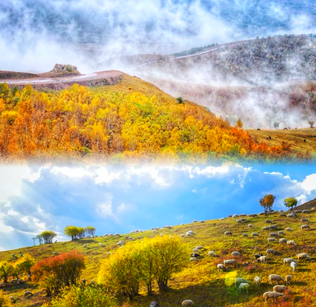 坝上草原自驾游