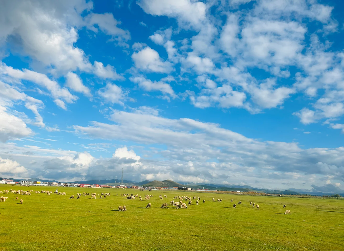 坝上草原自驾游