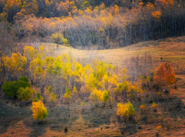 坝上草原自驾游方式及注意事项