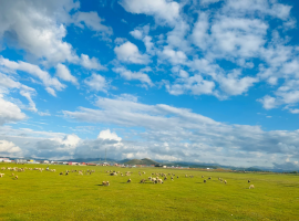 中秋坝上草原自驾游攻略
