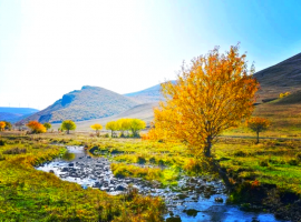 国庆坝上草原4日自由行之旅