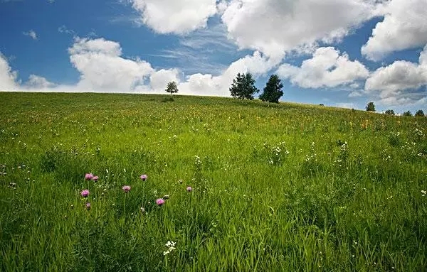 坝上草原 坝上草原