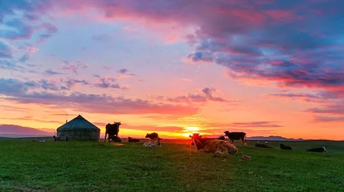 坝上草原 坝上草原