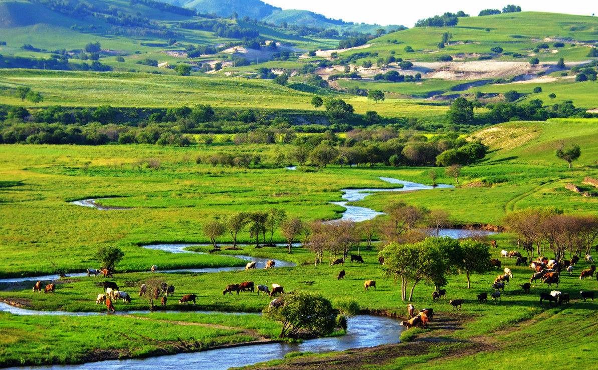 坝上草原 坝上草原