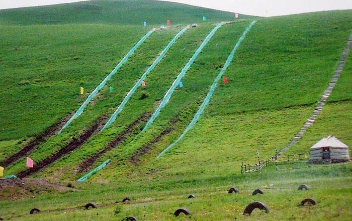 坝上草原卡丁车