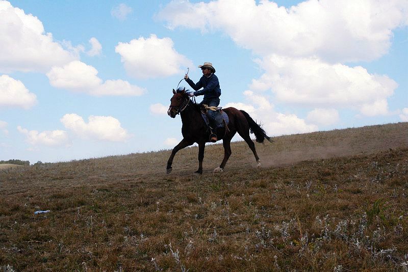 坝上草原骑马