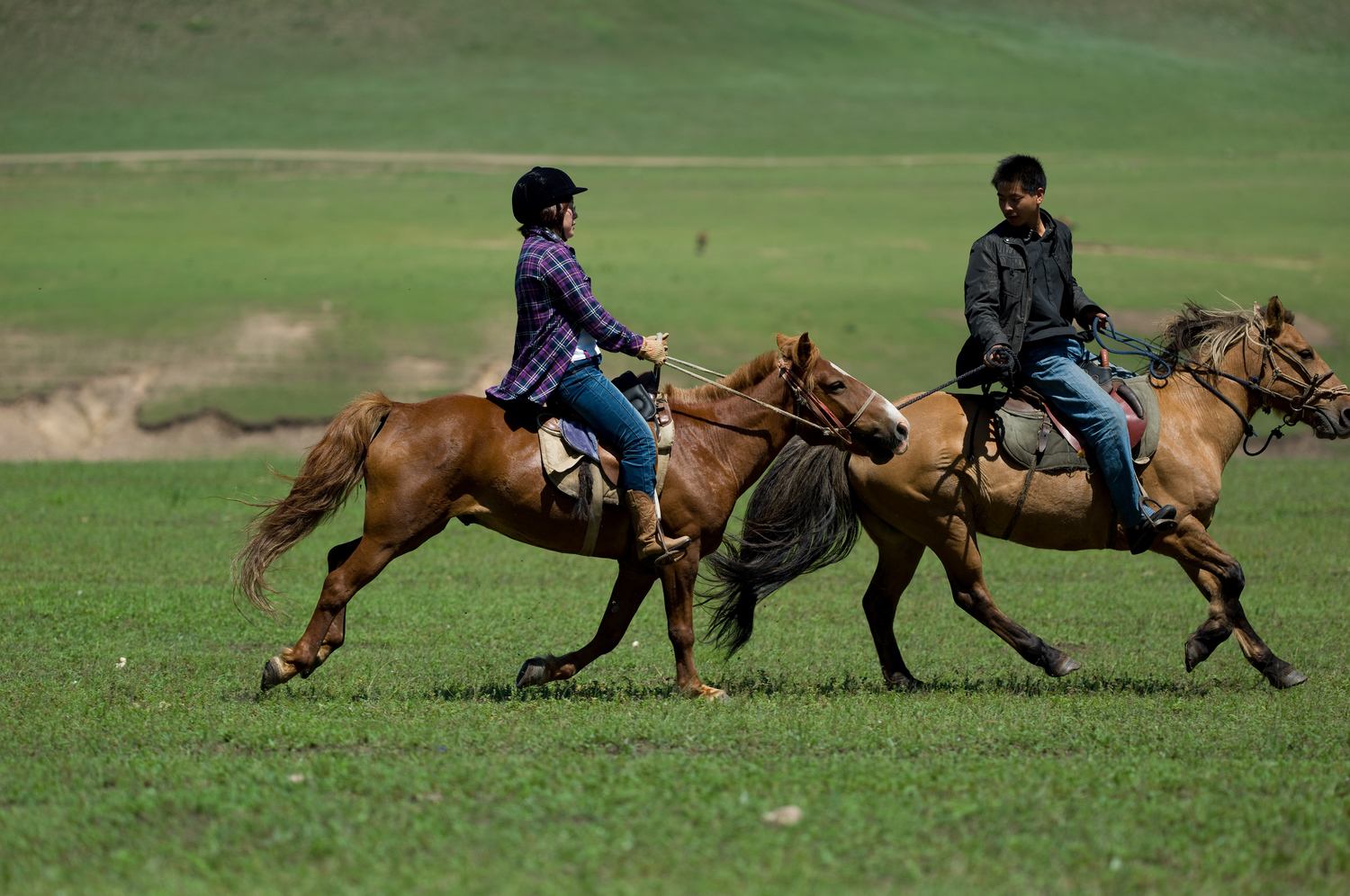 坝上骑马 坝上骑马