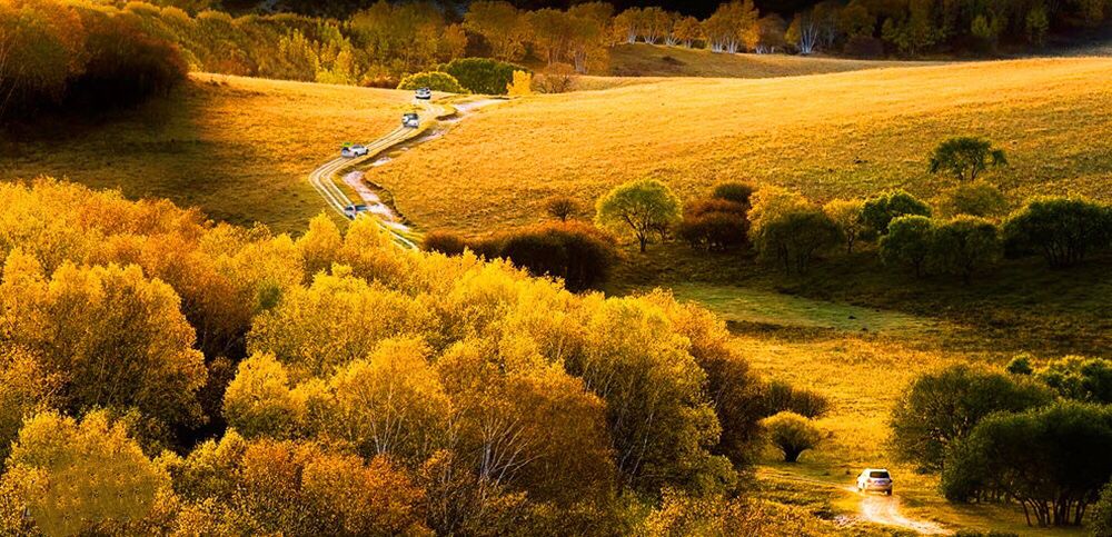 坝上草原 坝上草原