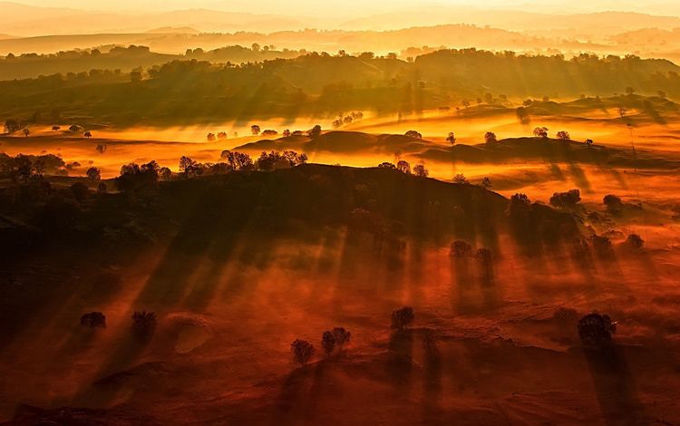 坝上草原 坝上草原