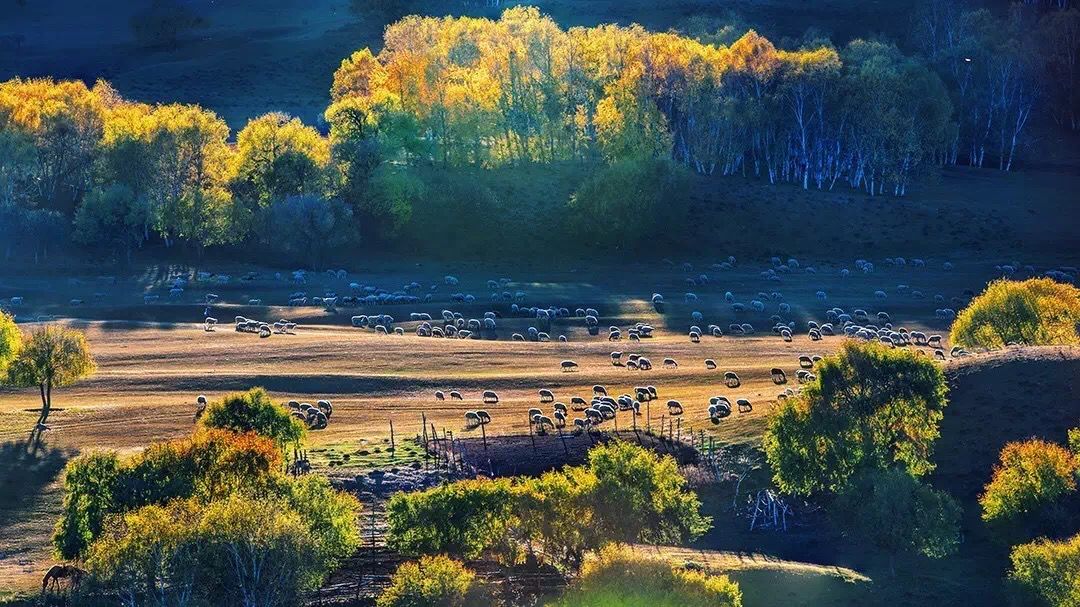 坝上草原 坝上草原