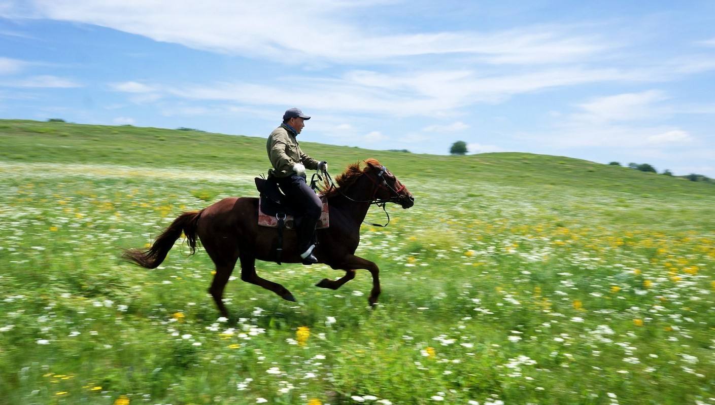 坝上草原 坝上草原