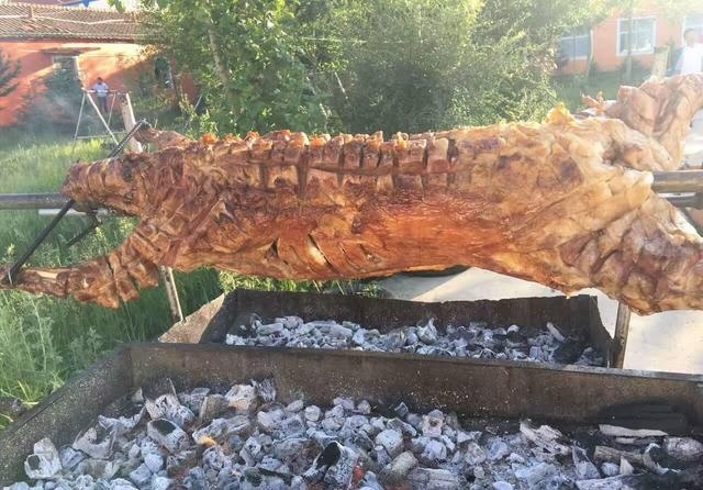 坝上草原美食攻略