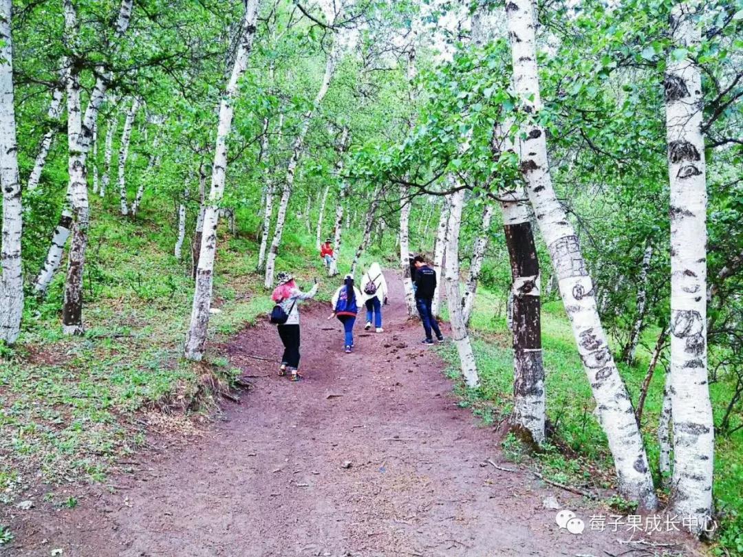 微信图片_20190506191208.jpg 微信图片_20190506191208.jpg