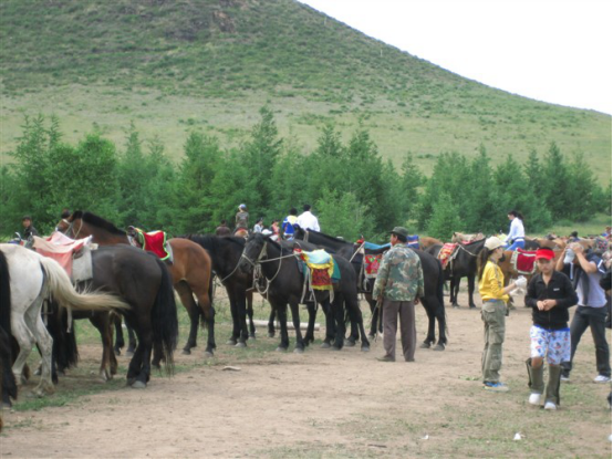丰宁坝上草原团建